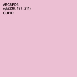 #ECBFD3 - Cupid Color Image