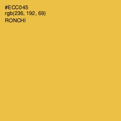#ECC045 - Ronchi Color Image