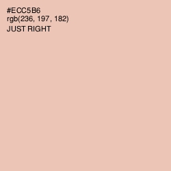 #ECC5B6 - Just Right Color Image