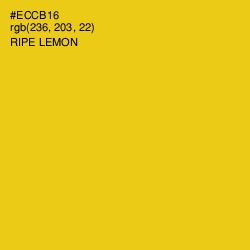 #ECCB16 - Ripe Lemon Color Image