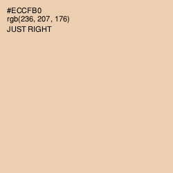 #ECCFB0 - Just Right Color Image