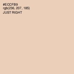 #ECCFB9 - Just Right Color Image