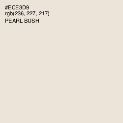#ECE3D9 - Pearl Bush Color Image