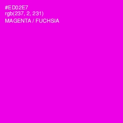 #ED02E7 - Magenta / Fuchsia Color Image