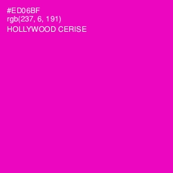 #ED06BF - Hollywood Cerise Color Image