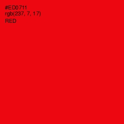 #ED0711 - Red Color Image