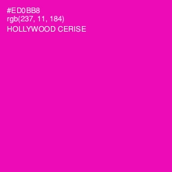 #ED0BB8 - Hollywood Cerise Color Image