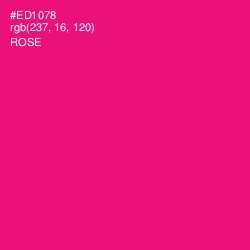 #ED1078 - Rose Color Image