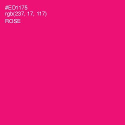 #ED1175 - Rose Color Image