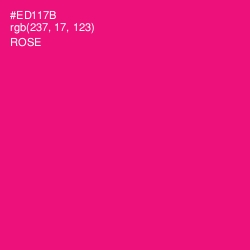 #ED117B - Rose Color Image