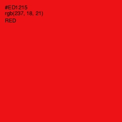 #ED1215 - Red Color Image