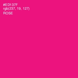 #ED137F - Rose Color Image