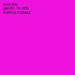 #ED13DC - Purple Pizzazz Color Image