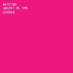 #ED1780 - Cerise Color Image