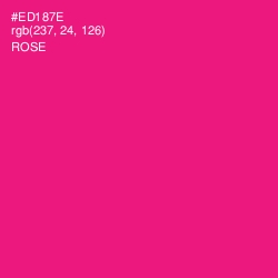 #ED187E - Rose Color Image