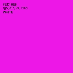 #ED18E8 - Magenta / Fuchsia Color Image