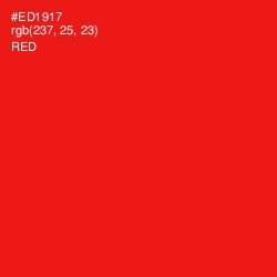 #ED1917 - Red Color Image