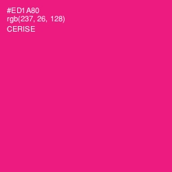 #ED1A80 - Cerise Color Image