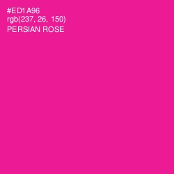 #ED1A96 - Persian Rose Color Image