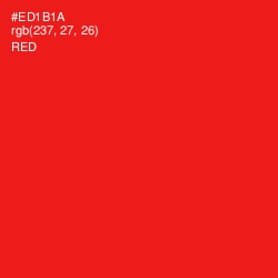 #ED1B1A - Red Color Image