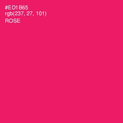 #ED1B65 - Rose Color Image