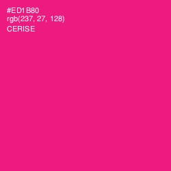 #ED1B80 - Cerise Color Image