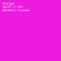 #ED1BE0 - Magenta / Fuchsia Color Image