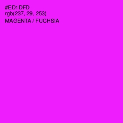 #ED1DFD - Magenta / Fuchsia Color Image