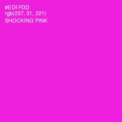 #ED1FDD - Shocking Pink Color Image