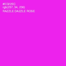 #ED22EC - Razzle Dazzle Rose Color Image