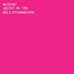 #ED2487 - Wild Strawberry Color Image