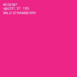 #ED2587 - Wild Strawberry Color Image
