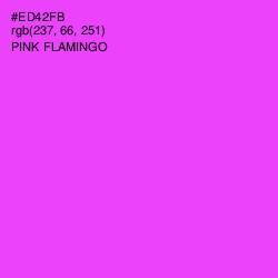 #ED42FB - Pink Flamingo Color Image