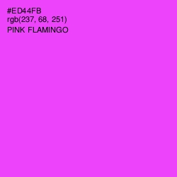 #ED44FB - Pink Flamingo Color Image