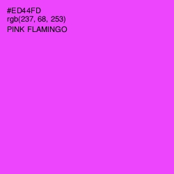 #ED44FD - Pink Flamingo Color Image