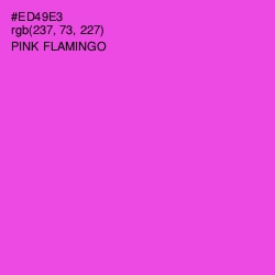 #ED49E3 - Pink Flamingo Color Image