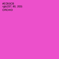 #ED50CB - Orchid Color Image
