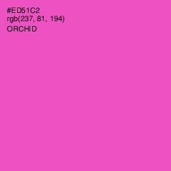 #ED51C2 - Orchid Color Image
