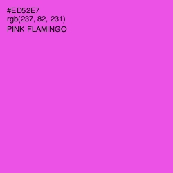 #ED52E7 - Pink Flamingo Color Image
