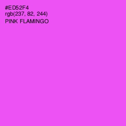 #ED52F4 - Pink Flamingo Color Image