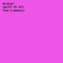 #ED55E7 - Pink Flamingo Color Image