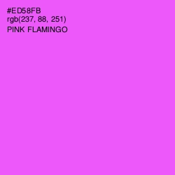#ED58FB - Pink Flamingo Color Image