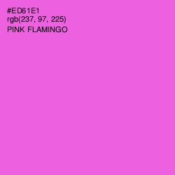 #ED61E1 - Pink Flamingo Color Image