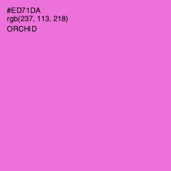 #ED71DA - Orchid Color Image