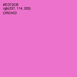 #ED72CB - Orchid Color Image