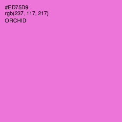 #ED75D9 - Orchid Color Image