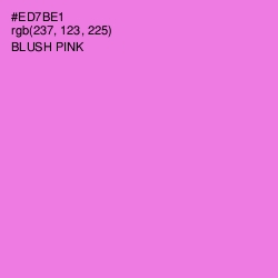 #ED7BE1 - Blush Pink Color Image