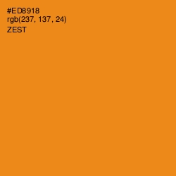 #ED8918 - Zest Color Image