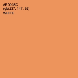 #ED935C - Tan Hide Color Image