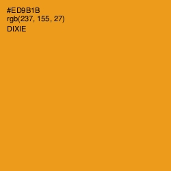 #ED9B1B - Dixie Color Image